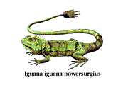 http://www.mackido.com/EasterEggs/Iguana/Iguana.gif